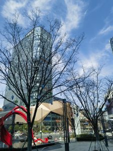上海经济适用房抵押贷款全攻略：轻松实现家庭资金周转插图